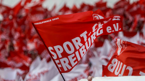 Rechtsformen der Profifußballabteilung der Klubs im deutschen Profifußball 2022/23