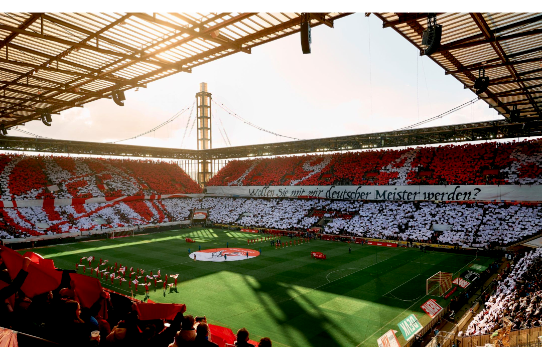 1. FC Köln gegen Wolfsburg. Foto: Instagram @vitleo_sport