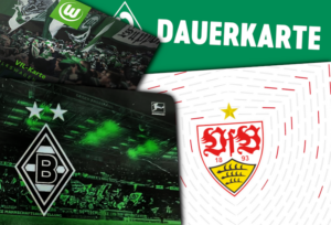 Read more about the article Bundesliga: Preisvergleich der Dauerkarten 2023/24