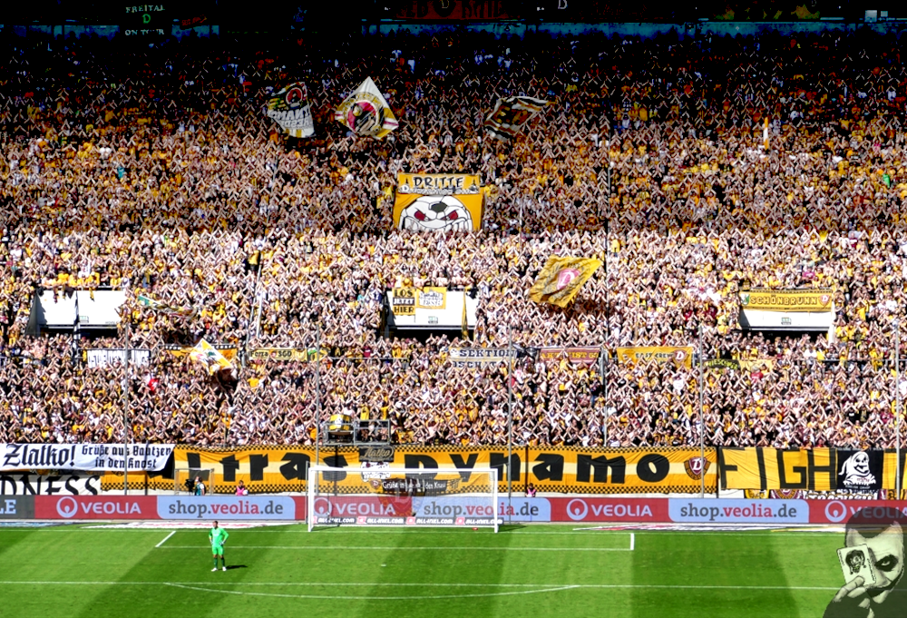 Du betrachtest gerade Gegen Cottbus und in Aue: Ostduelle von Dynamo Dresden ausverkauft