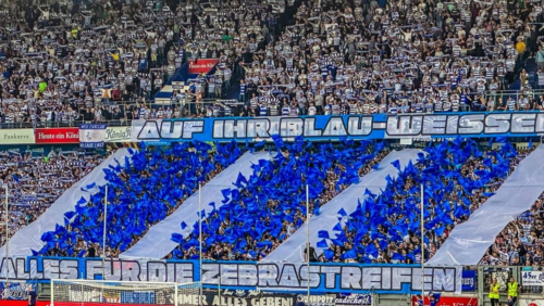 Hohe Ticketnachfrage für Lokalduelle in Mannheim, Duisburg und Ingolstadt