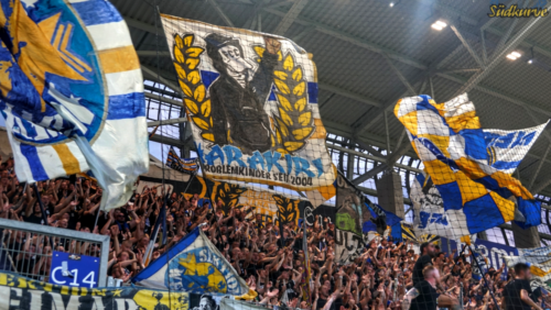 Meppen neu dabei: Die Rekordkulissen in der Regionalliga 2024/25