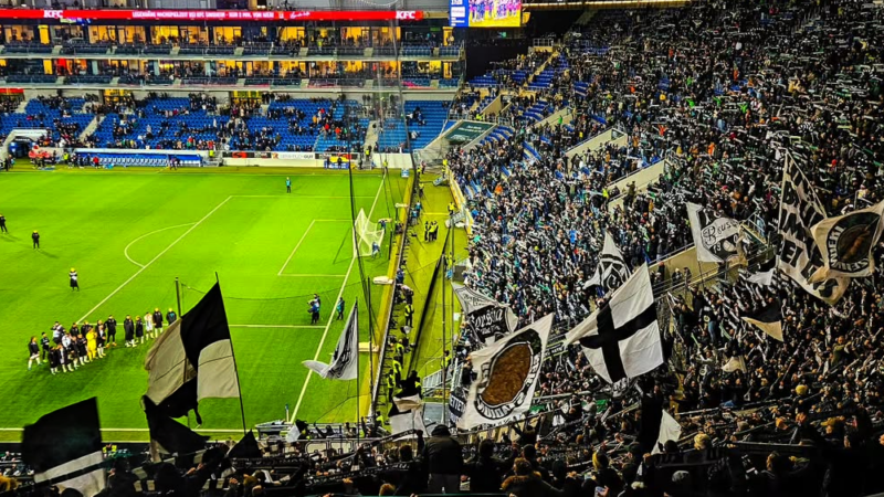 Die Auswärtsfahrer von Borussia Mönchengladbach in Hoffenheim.