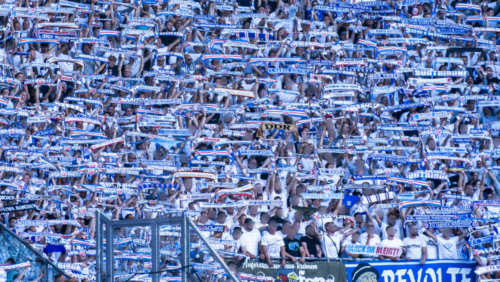 Hansa Rostock sorgt für zweitgrößten Gästeanhang in Mannheim