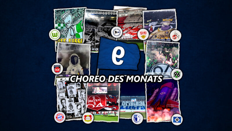 Diese Choreos stehen bei der Wahl zur Choreo des Monats Februar zur Auswahl.