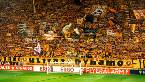 Riesiger Ticket-Ansturm bei Dynamo Dresden