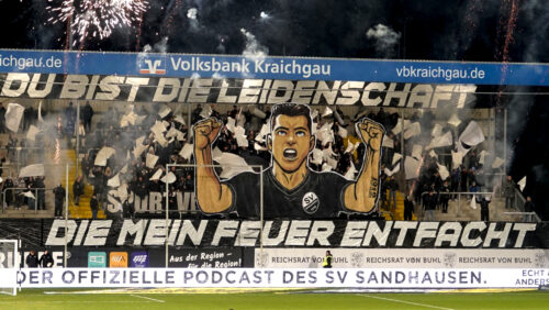SV Sandhausen auf Platz 63 der Zuschauertabelle 2024/25