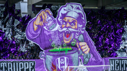 FC Erzgebirge Aue auf Platz 48 der Zuschauertabelle 2024/25