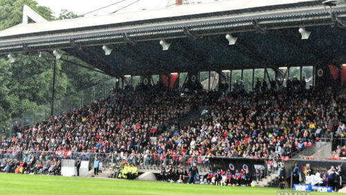 Viktoria Köln auf Platz 61 der Zuschauertabelle 2024/25