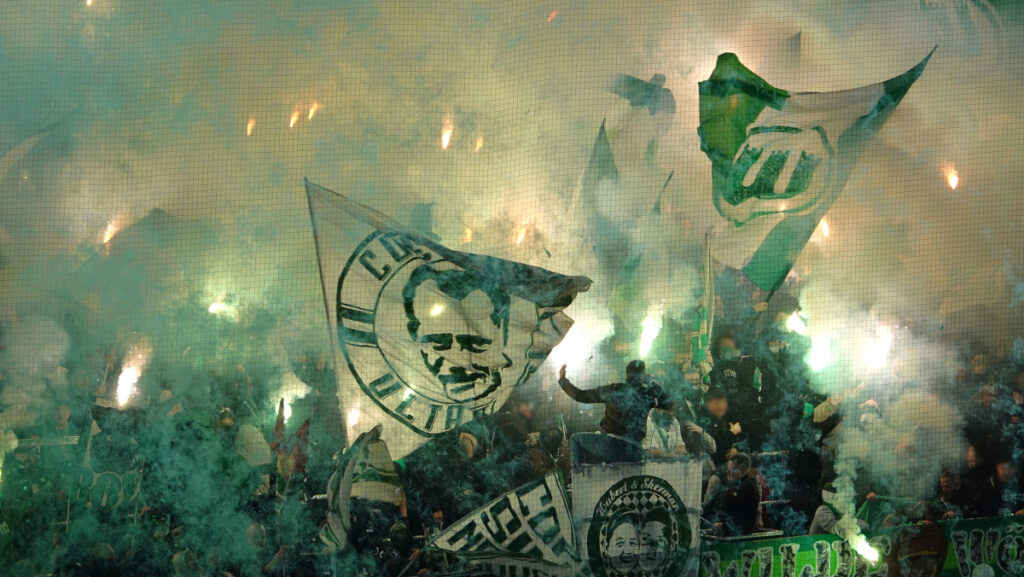 Die Fans des VfL Wolfsburg.
