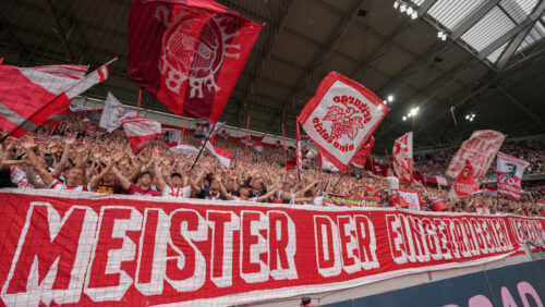 Die Rechtsform der Profiabteilungen im deutschen Fußball