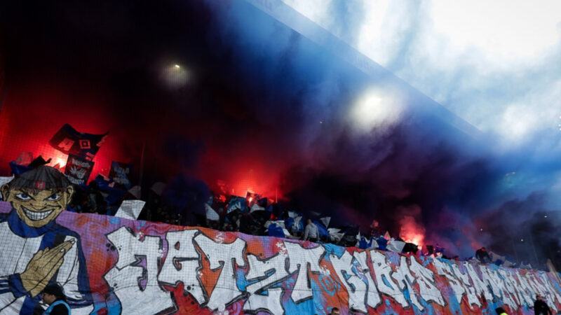 HSV Auswärtsfahrer Bundesliga