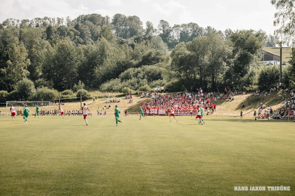 Fans von Jahn Regensburg im Bayerischen Pokal