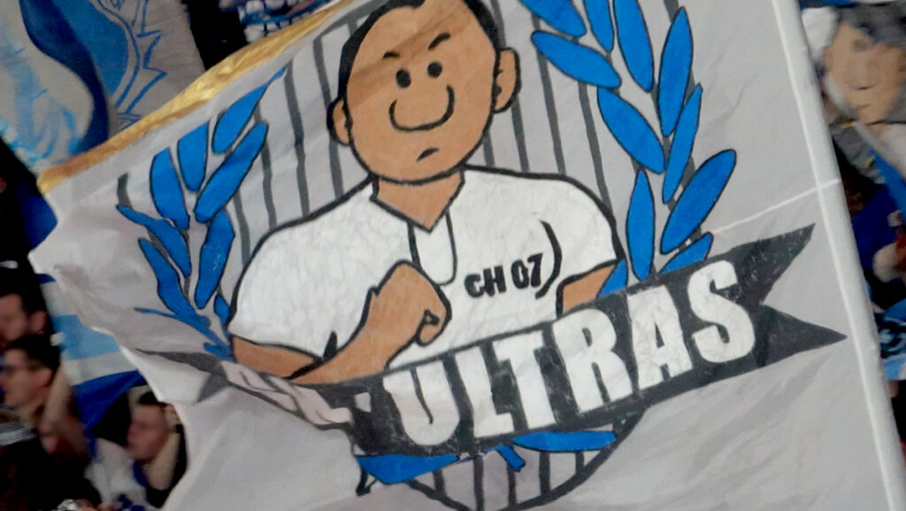 Die Fans der TSG Hoffenheim in der Bundesliga